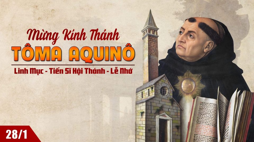 Ngày 28/01 - Thánh Tôma Aquinô
